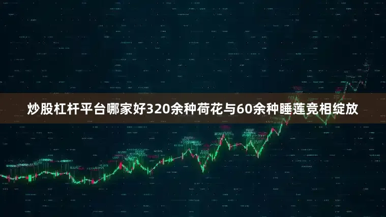 炒股杠杆平台哪家好320余种荷花与60余种睡莲竞相绽放