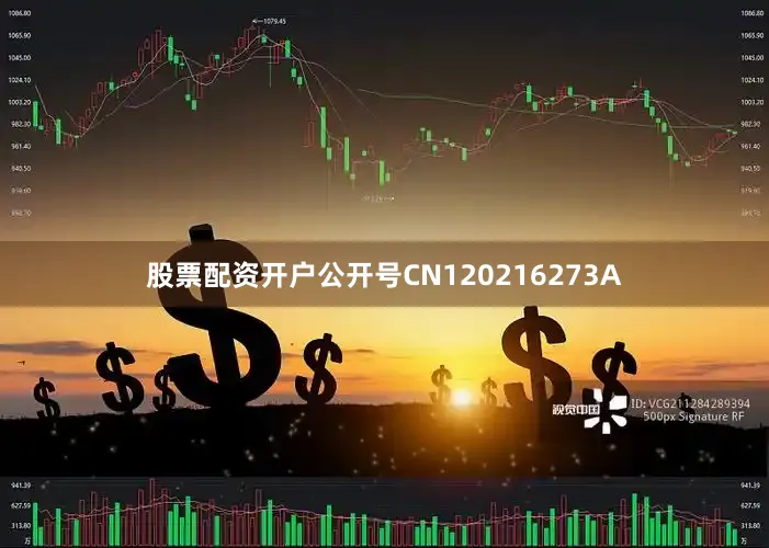 股票配资开户公开号CN120216273A