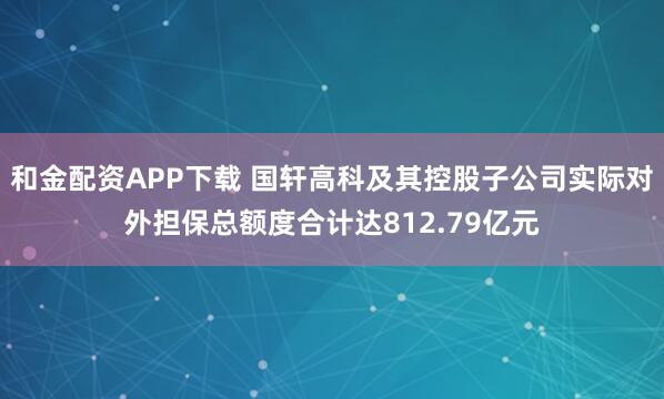 和金配资APP下载 国轩高科及其控股子公司实际对外担保总额度合计达812.79亿元