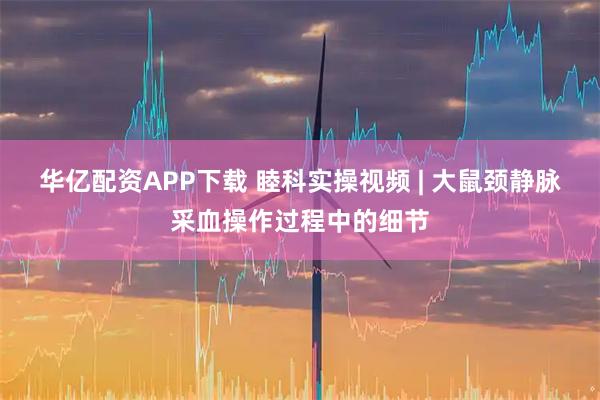 华亿配资APP下载 睦科实操视频 | 大鼠颈静脉采血操作过程中的细节