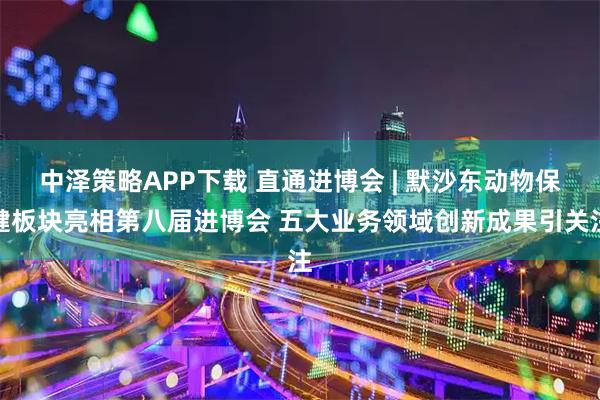 中泽策略APP下载 直通进博会 | 默沙东动物保健板块亮相第八届进博会 五大业务领域创新成果引关注