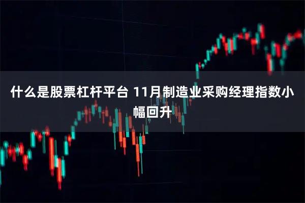 什么是股票杠杆平台 11月制造业采购经理指数小幅回升