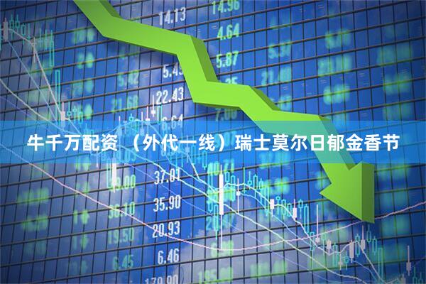 牛千万配资 （外代一线）瑞士莫尔日郁金香节