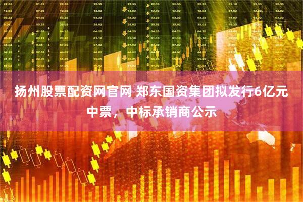 扬州股票配资网官网 郑东国资集团拟发行6亿元中票，中标承销商公示